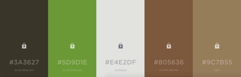 brandshouter color palate