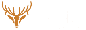 White Logo of Wapiti Digital