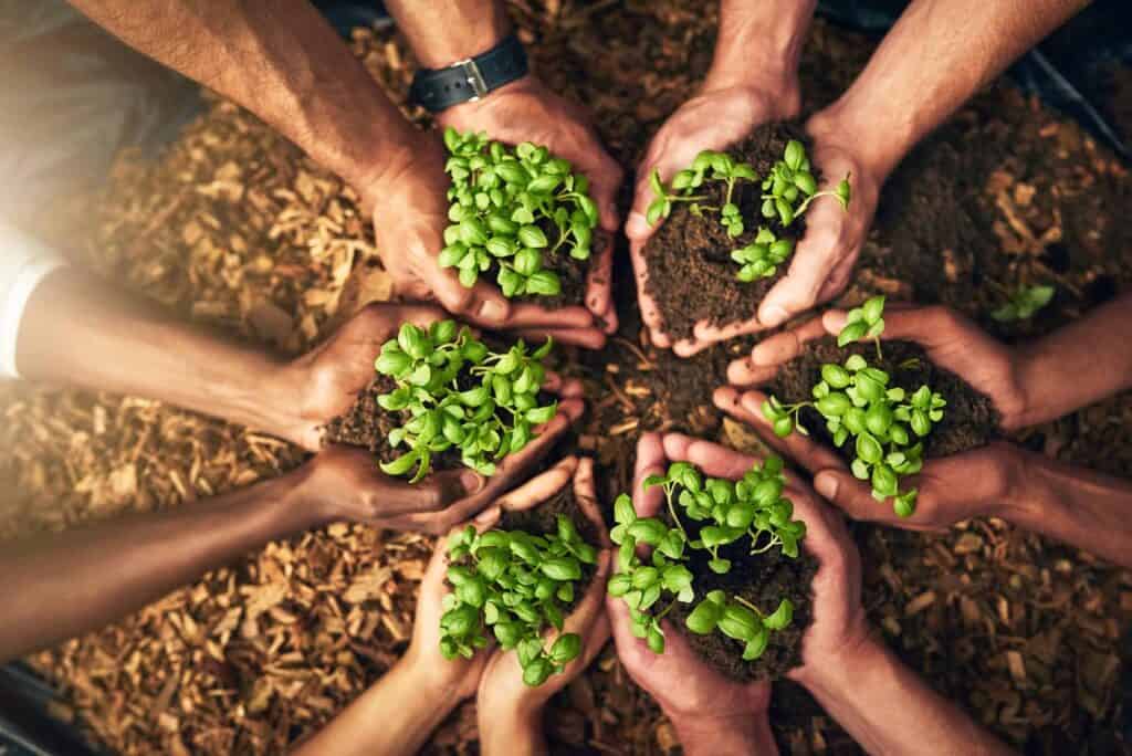 Sustainability in eCommerce: Genuine Effort or Marketing Gimmick? 1 Sustainability in eCommerce: Genuine Effort or Marketing Gimmick?
